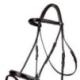 bridles swastik international 2