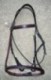 bridles swastik international 5